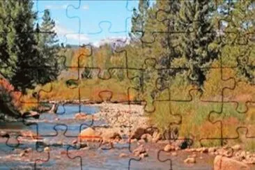 Prime trout stream - Colorado