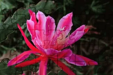 111