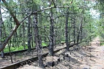 Chatsworth railroad