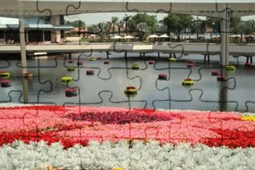 flores