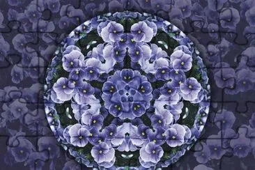 pansies
