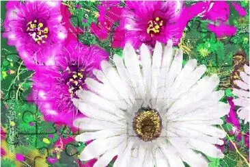 image jigsaw puzzle