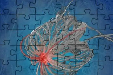 nanoparticle jigsaw puzzle