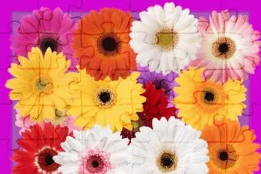 image jigsaw puzzle