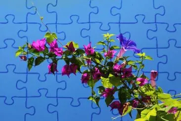 Flores de enredadera jigsaw puzzle