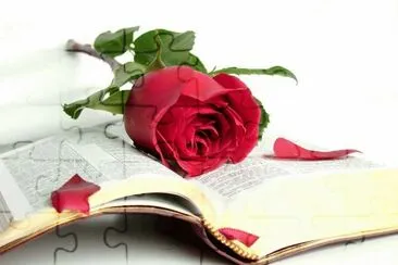 פאזל של Linda rosa roja