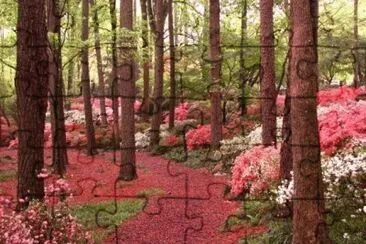 luna azul jigsaw puzzle