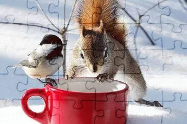 bird and friend jigsaw puzzle
