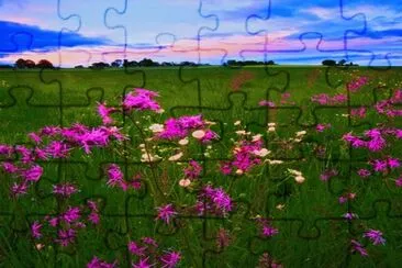 c jigsaw puzzle