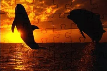 q jigsaw puzzle