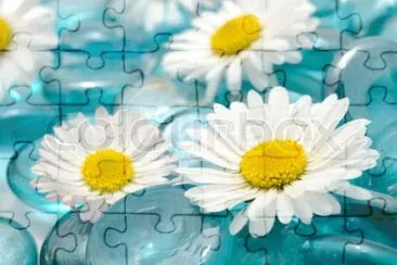 image jigsaw puzzle