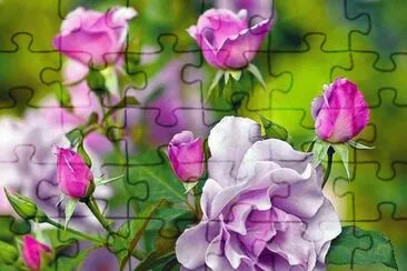 +-*/ jigsaw puzzle