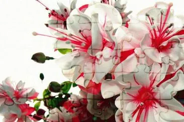 @ jigsaw puzzle