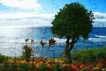 paisagem