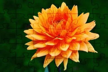 IMAGEN jigsaw puzzle