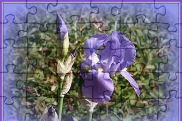 Danson Park Flower Garden-London jigsaw puzzle