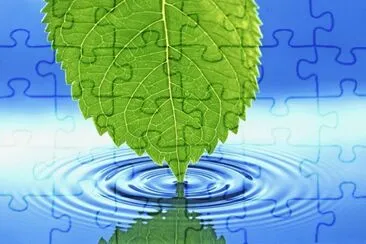 Hoja