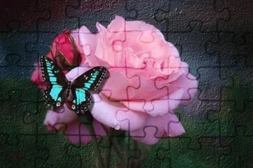 image jigsaw puzzle