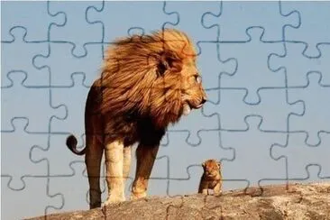 majestic and  son