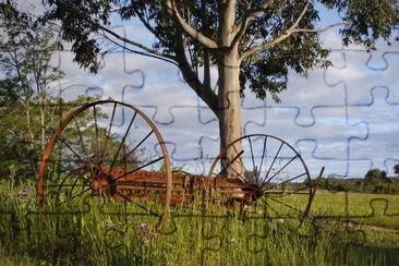 country life