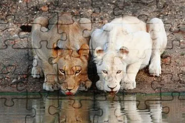 . jigsaw puzzle