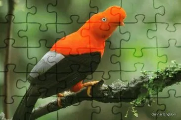 . jigsaw puzzle