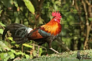 . jigsaw puzzle