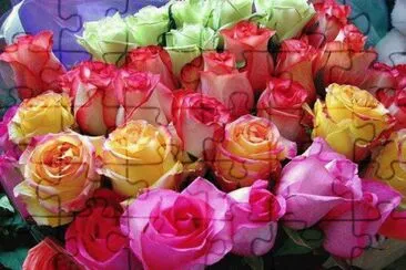 Rosas