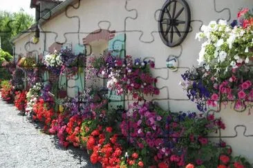 â™¦â–¬â™¦ jigsaw puzzle