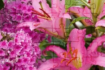 â—˜â™¦â—˜ jigsaw puzzle