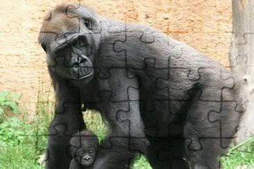 chimpance-mamÃ  y BB