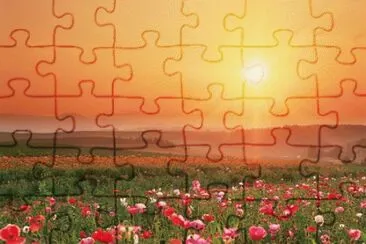 Silvestre jigsaw puzzle
