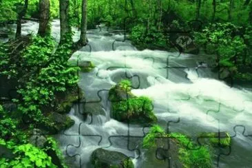 Paisaje verde