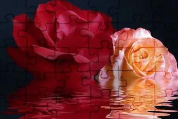 Agua y rosas