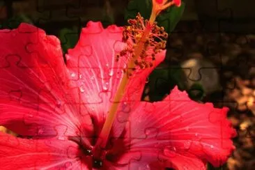 Fondo natural flor jigsaw puzzle