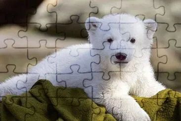 8715v jigsaw puzzle