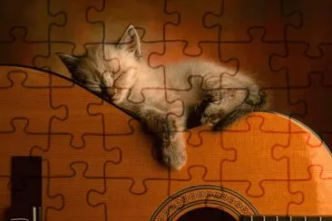 Cute_Kitty_Acoustic_Guitar_Wallpaper