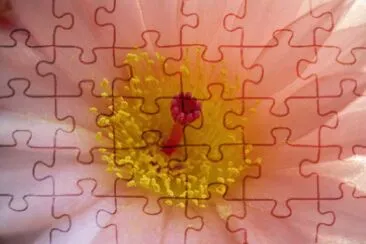 Flor jigsaw puzzle