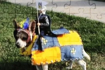 knight jigsaw puzzle