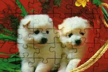 gossets jigsaw puzzle
