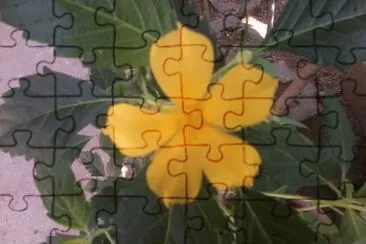 Flor Silvestre jigsaw puzzle