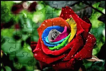 * jigsaw puzzle