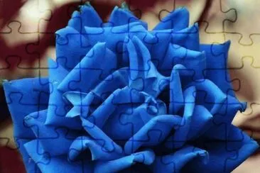 * jigsaw puzzle