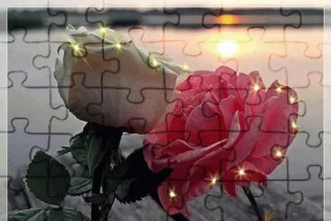 * jigsaw puzzle