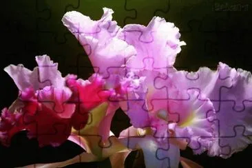 * jigsaw puzzle