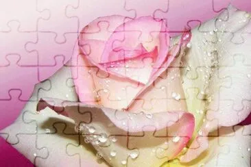 * jigsaw puzzle