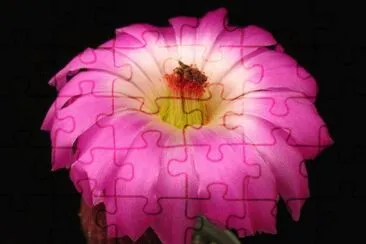* jigsaw puzzle
