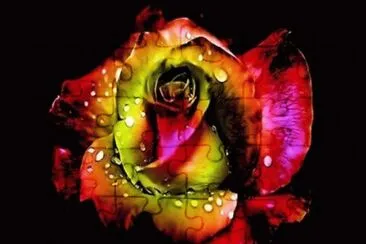 * jigsaw puzzle