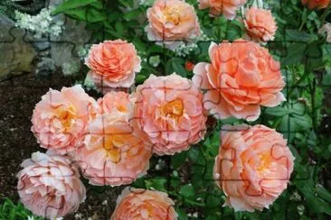 * jigsaw puzzle