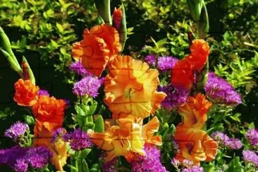 * jigsaw puzzle